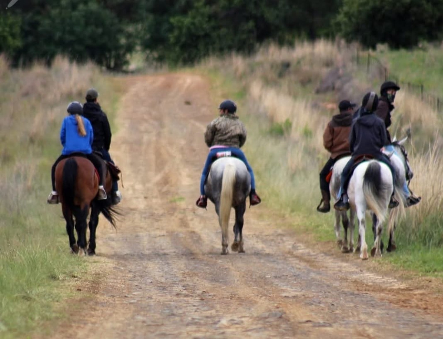 Horse riders enjoying a country outride